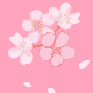 🌸 Sakura  🌸