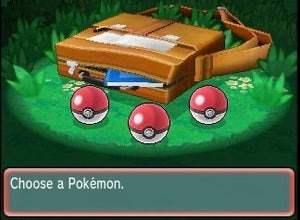 Choose Your Pokemon!